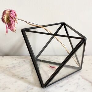 Geometric welded glass sculptural art terrarium